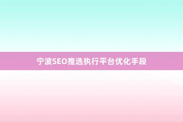 宁波SEO推选执行平台优化手段